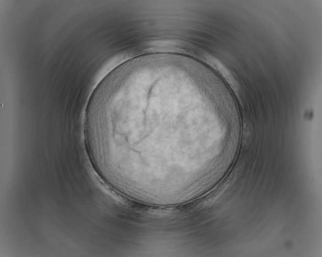 X0000094421386200712061041