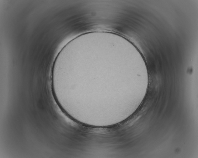 X0000094421387200712061041