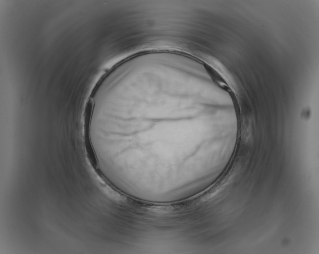 X0000094421388200712061041