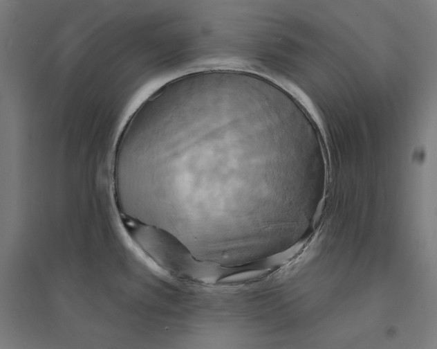 X0000094421389200712061041