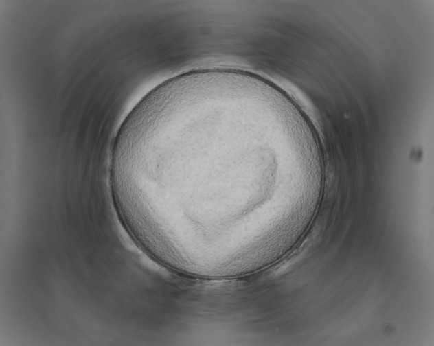 X0000094421390200712061041