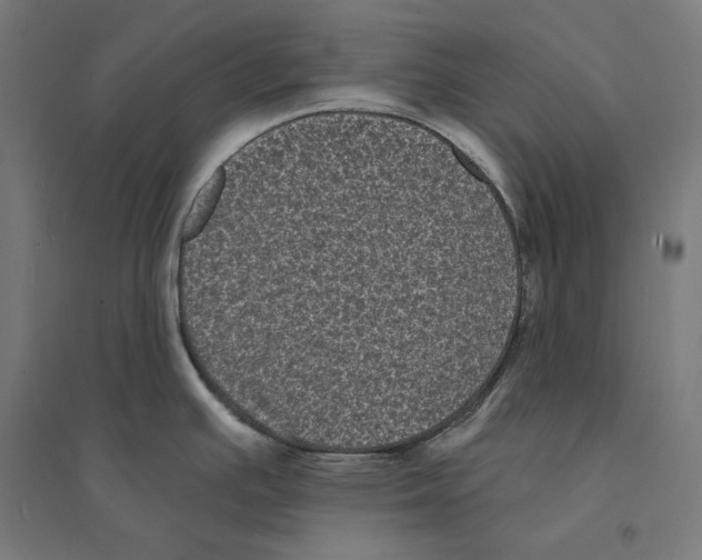 X0000094421391200712061041