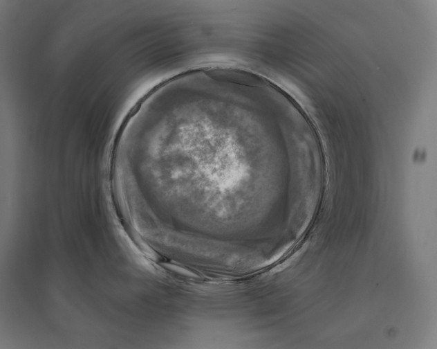 X0000094421392200712061041