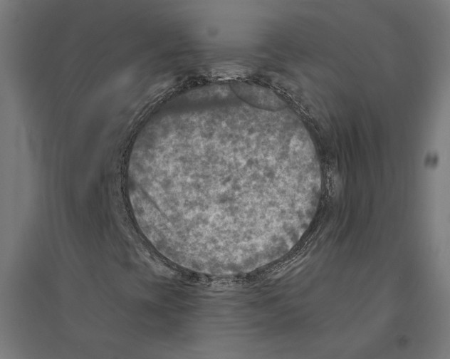 X0000094421393200712061040