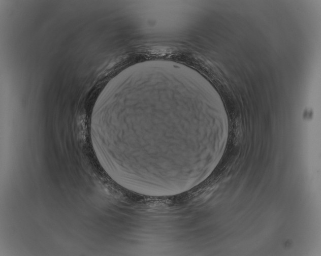 X0000094421394200712061040