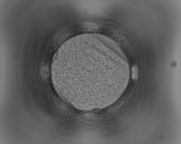 X0000094421395200712061040