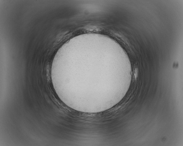 X0000094421396200712061040