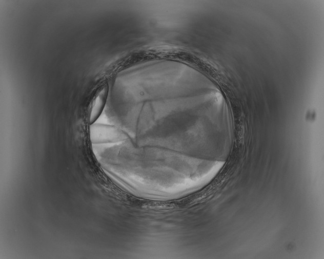 X0000094421397200712061040