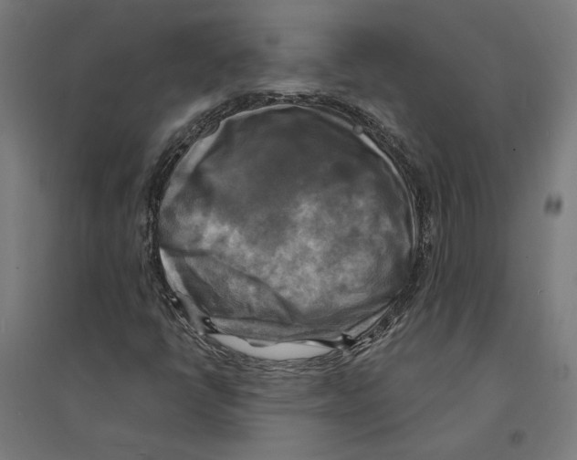 X0000094421398200712061040