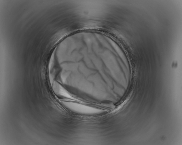 X0000094421401200712061040