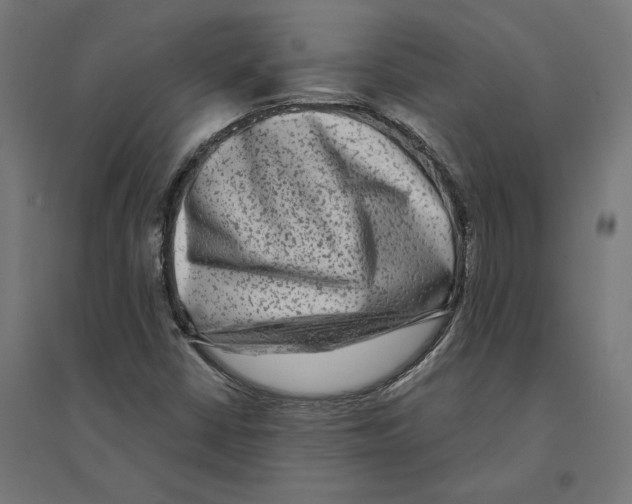 X0000094421402200712061040