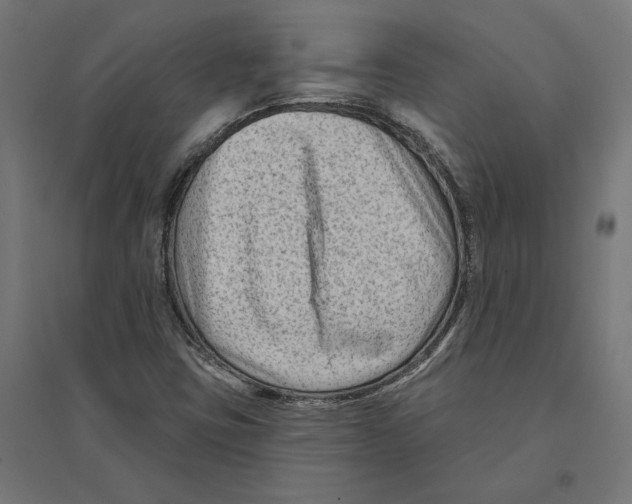 X0000094421403200712061040