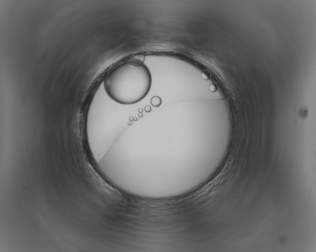 X0000094421404200712061040