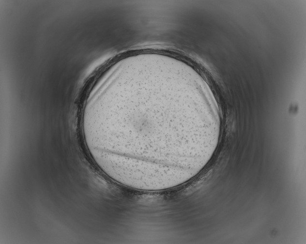 X0000094421406200712061040