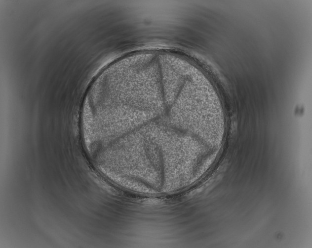 X0000094421409200712061040