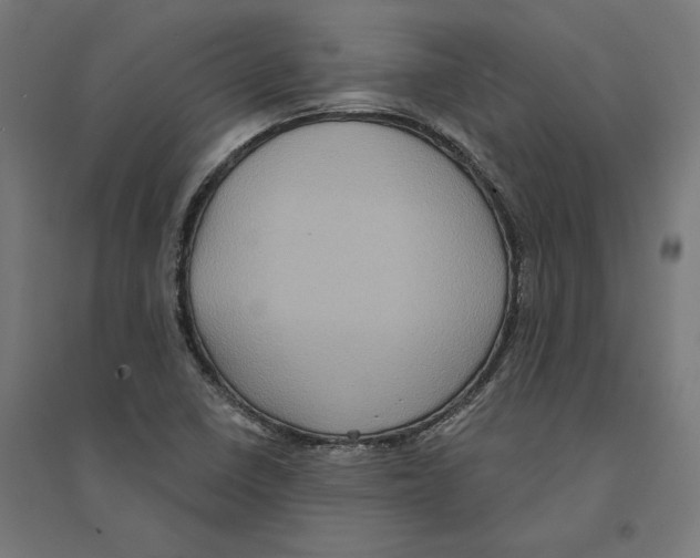 X0000094421410200712061040