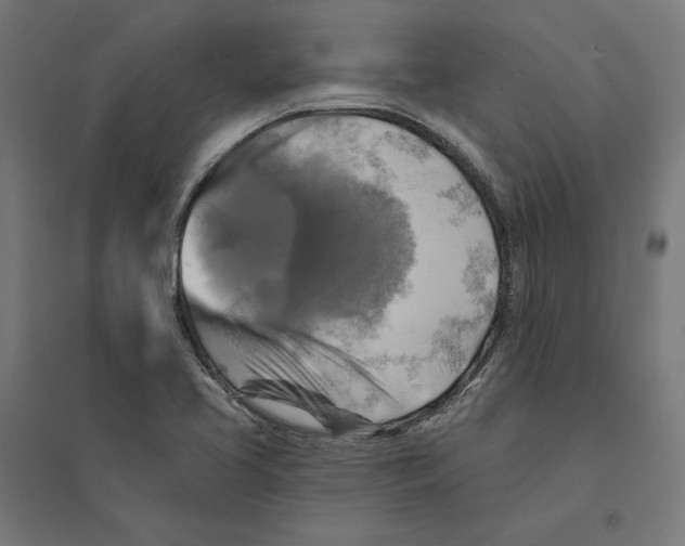 X0000094421413200712061040