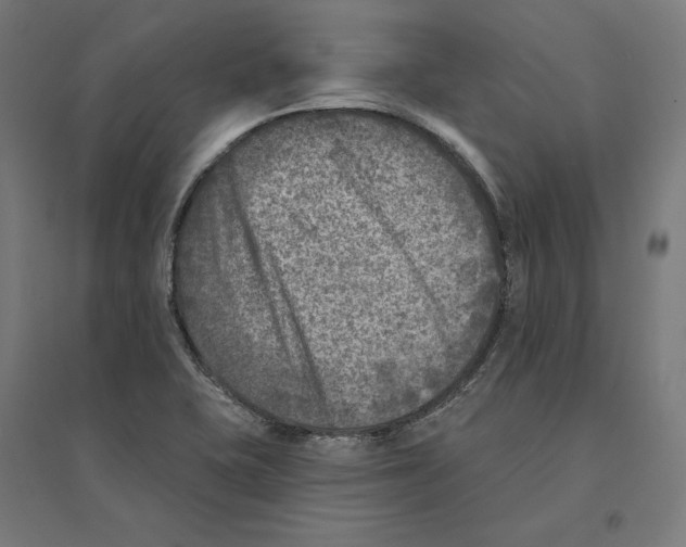 X0000094421415200712061040