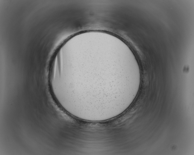 X0000094421416200712061040