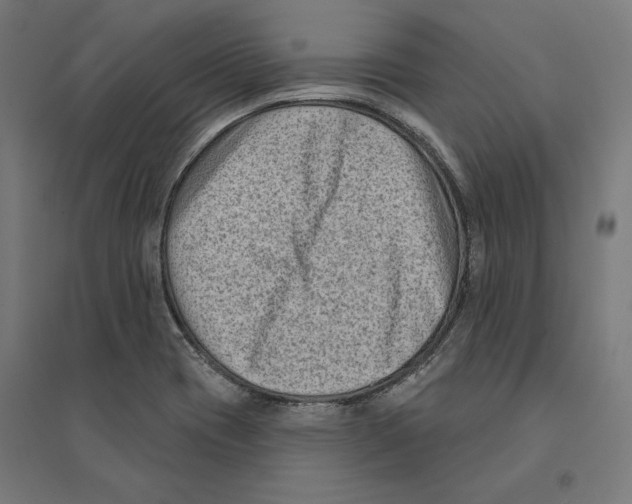 X0000094421417200712061040