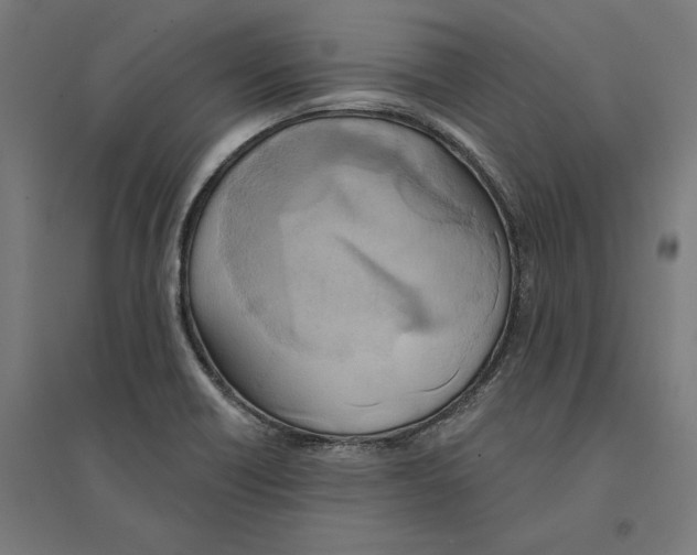 X0000094421418200712061040