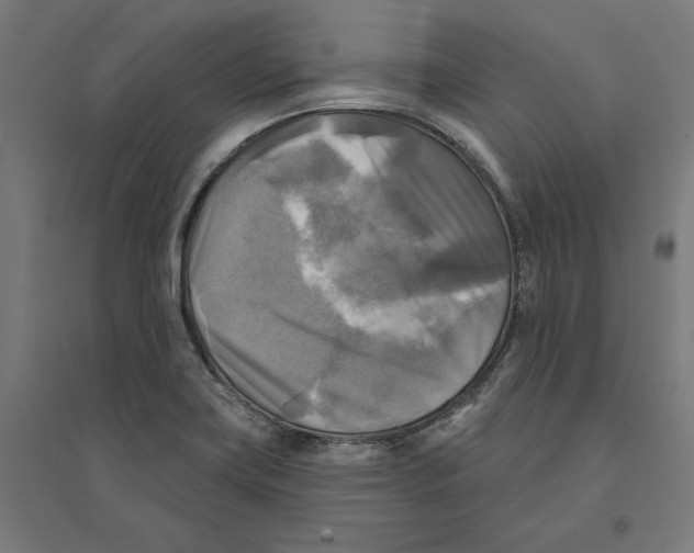 X0000094421419200712061040