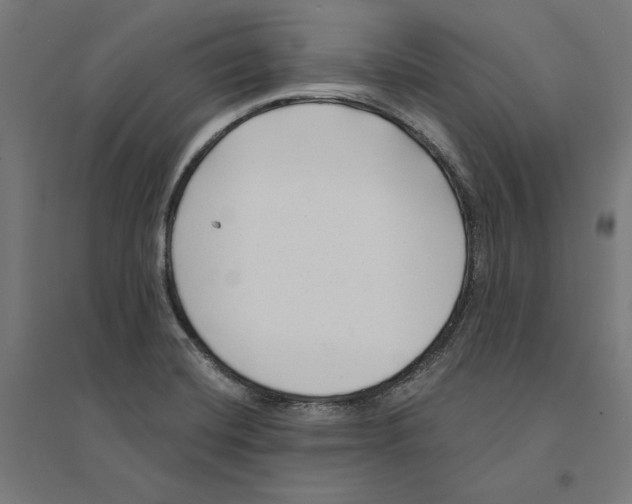 X0000094421420200712061040