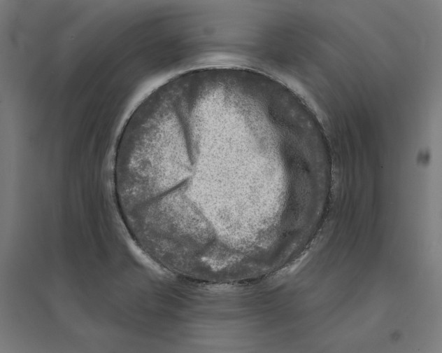 X0000094421421200712061041