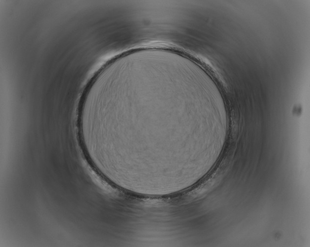 X0000094421422200712061041