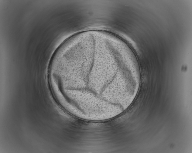 X0000094421423200712061041