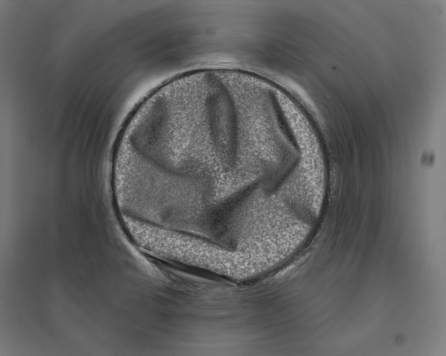 X0000094421424200712061041