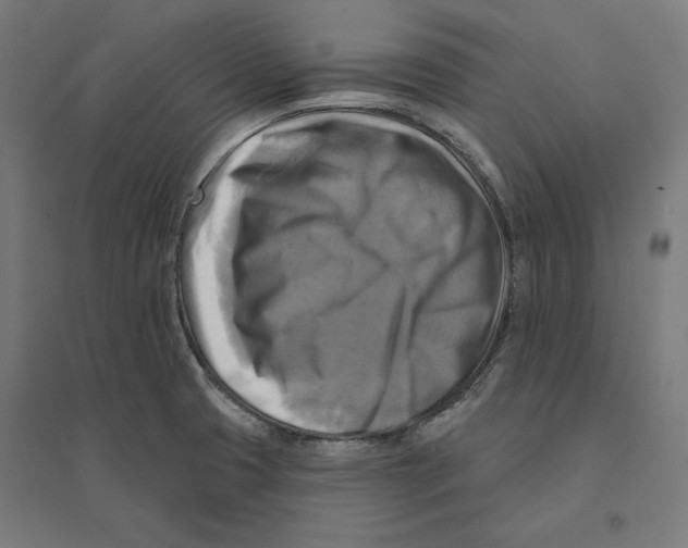 X0000094421425200712061041