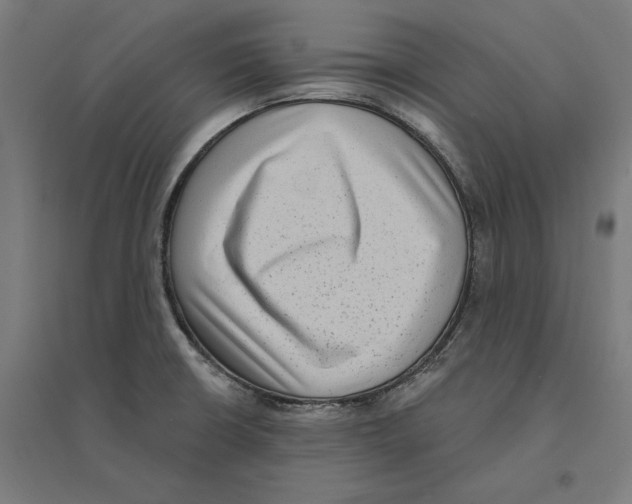 X0000094421426200712061041