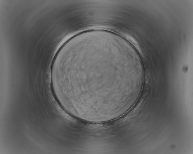 X0000094421428200712061041