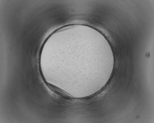 X0000094421430200712061041