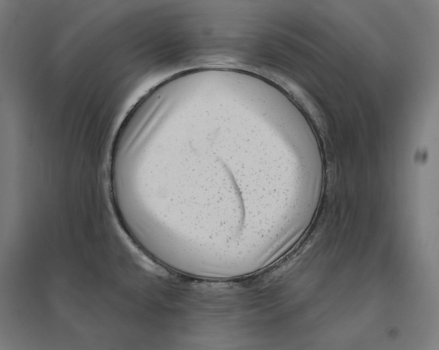 X0000094421432200712061041