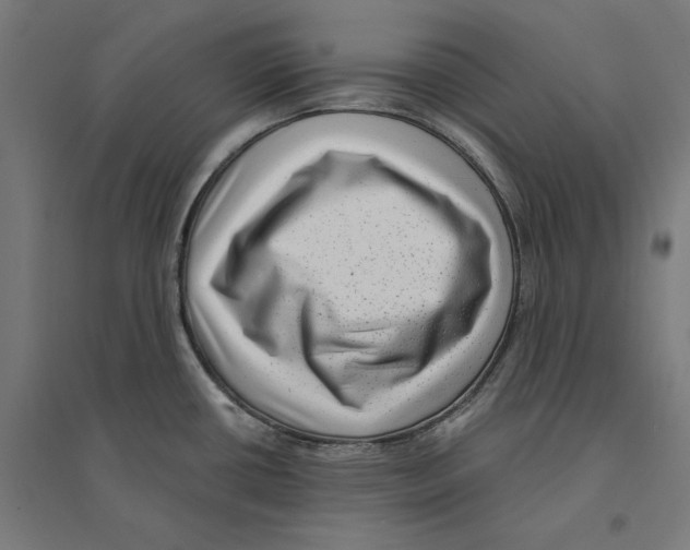 X0000094421434200712061041