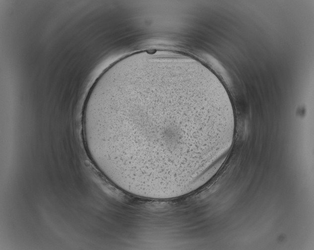 X0000094421435200712061041