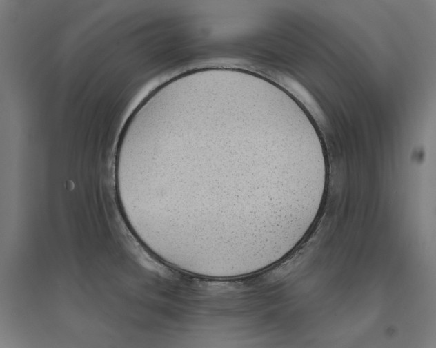 X0000094421436200712061041