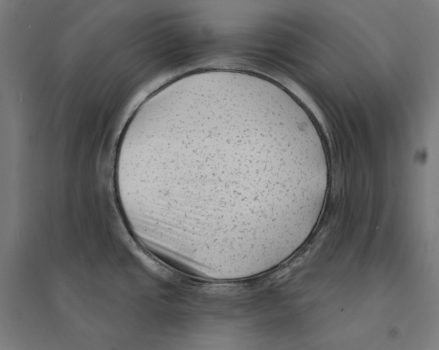 X0000094421437200712061041