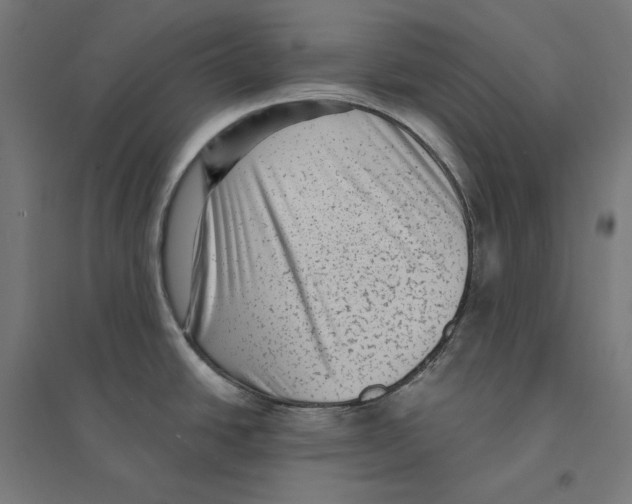 X0000094421438200712061041