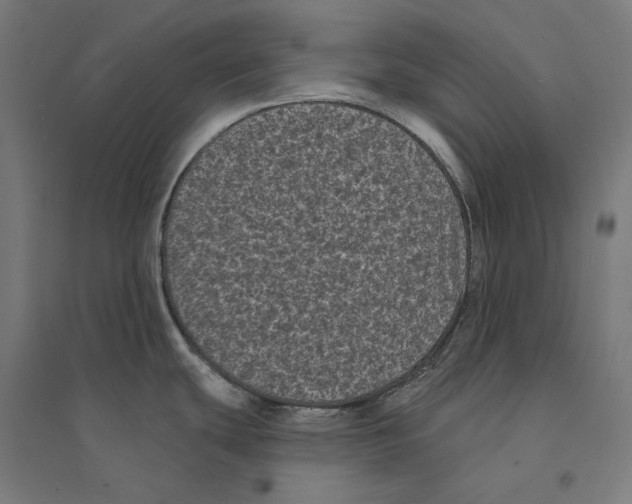 X0000094421439200712061041