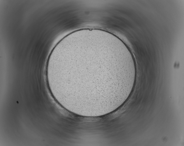 X0000094421440200712061041