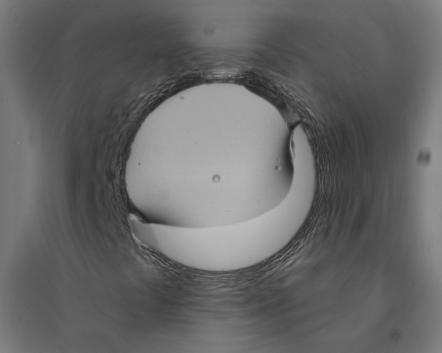 X0000094421441200712061040