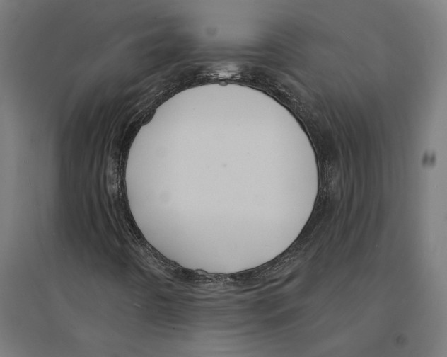 X0000094421442200712061040