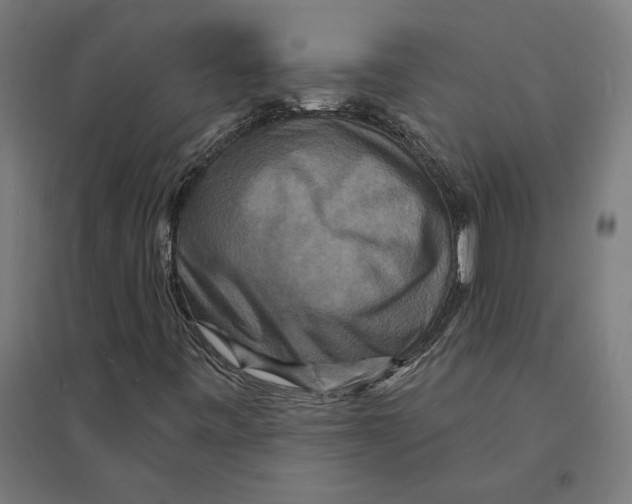 X0000094421443200712061040