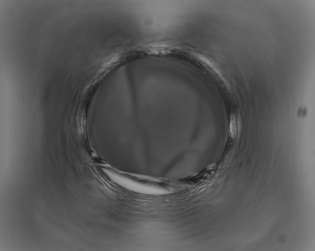 X0000094421444200712061040