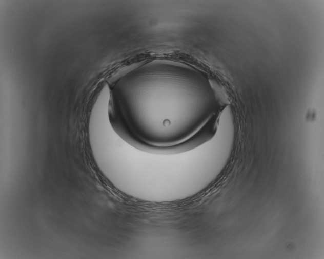 X0000094421445200712061040