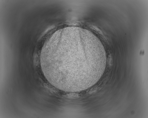 X0000094421446200712061040