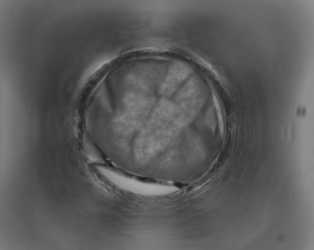 X0000094421448200712061040